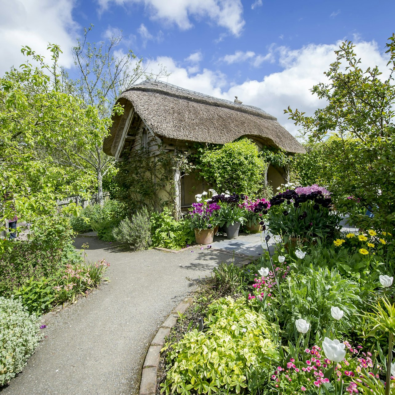 RHS Garden Rosemoor: Entry Ticket - Photo 1 of 4